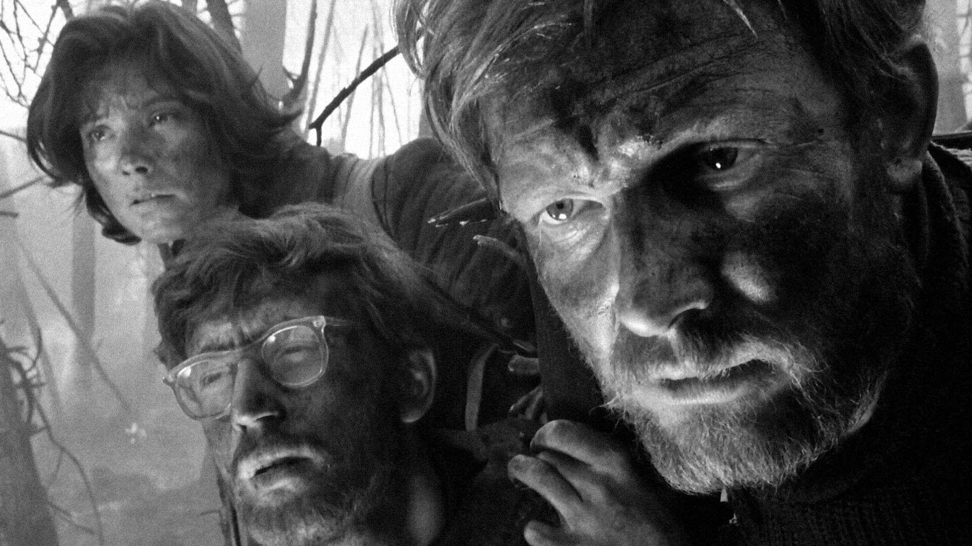 La lettera non spedita