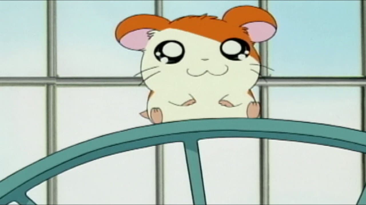Hamtaro - Piccoli criceti, grandi avventure