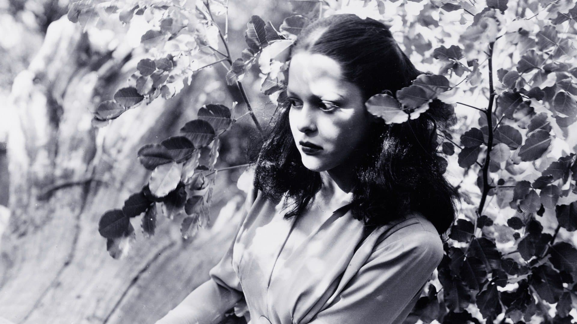 La donna della giungla