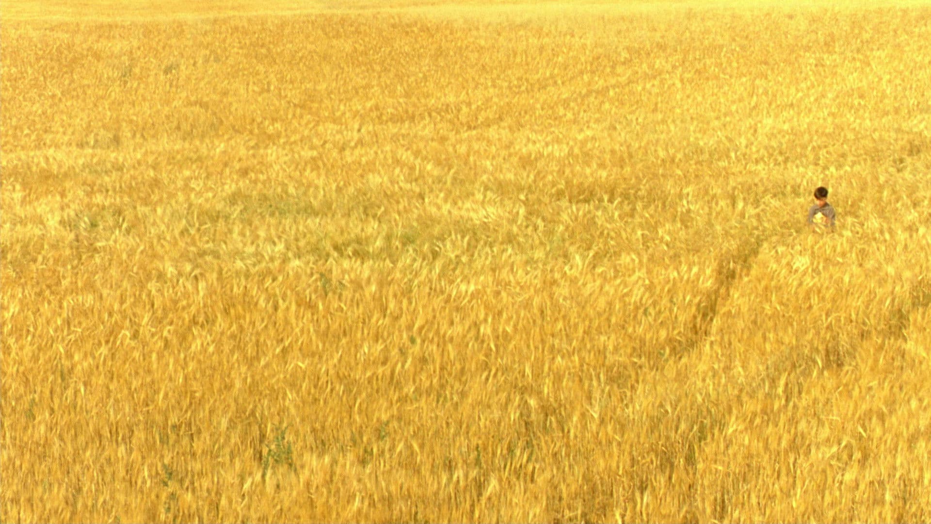 Riflessi sulla pelle