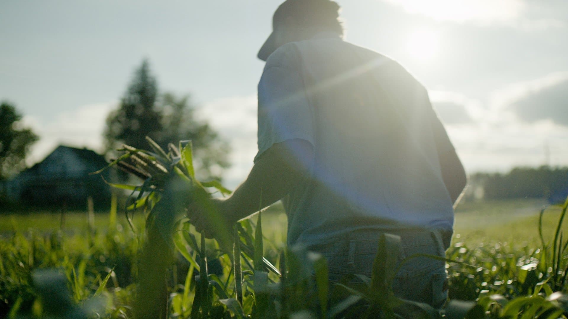 Wasted! Contro il cibo sprecato