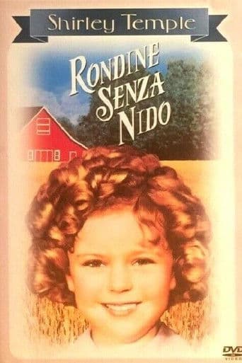 Rondine senza nido