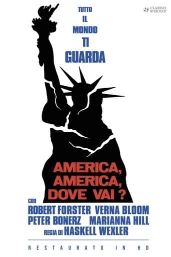 America, America, dove vai?