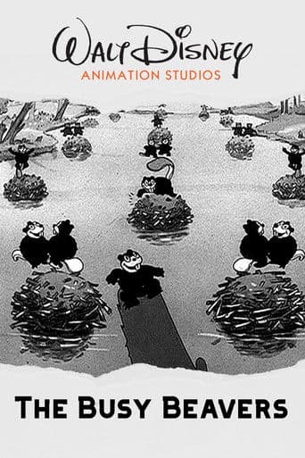 Castorino senza paura