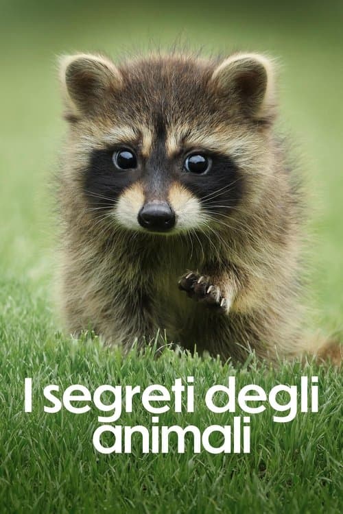 I segreti degli animali