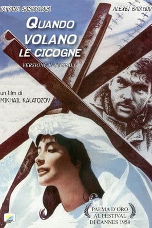 Quando volano le cicogne