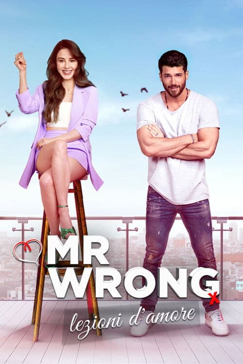 Mr. Wrong - Lezioni d'amore