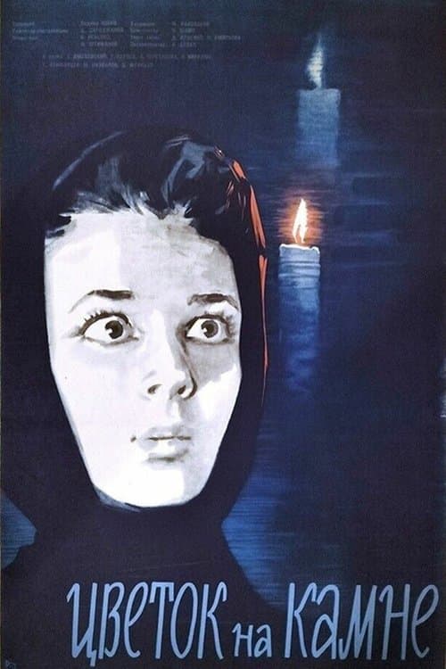 Il fiore sulla pietra