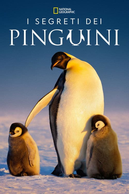 I segreti dei pinguini