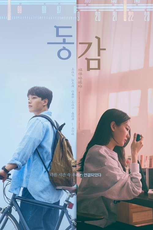 Ditto - Segui il tuo cuore