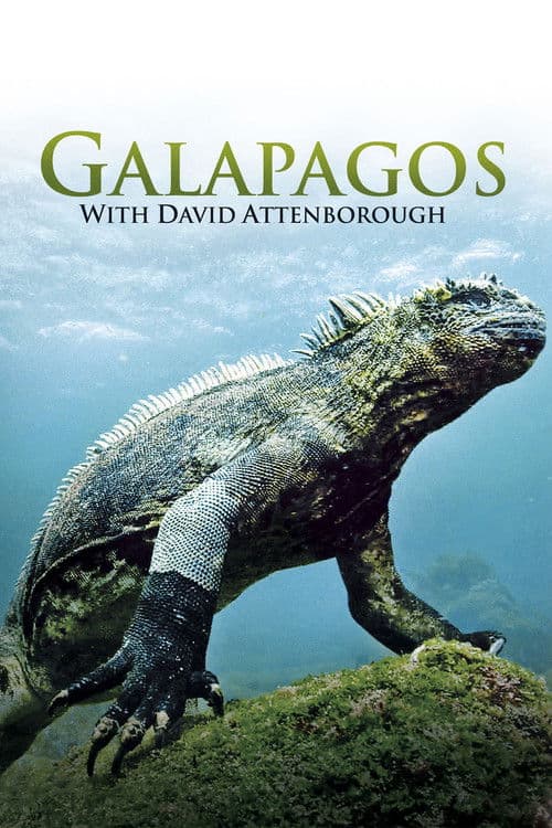 Galapagos 3D con David Attenborough