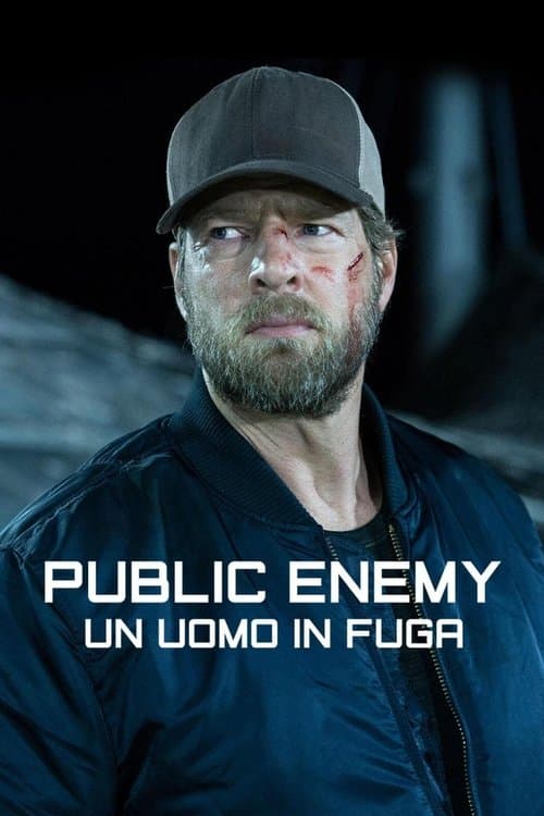 Public Enemy - Un uomo in fuga