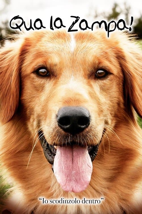 Qua la zampa!