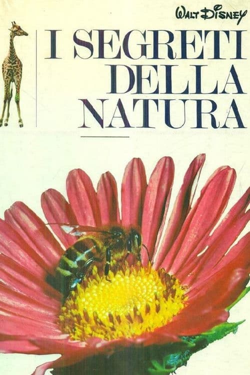 I segreti della natura