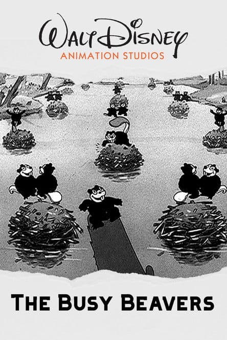 Castorino senza paura